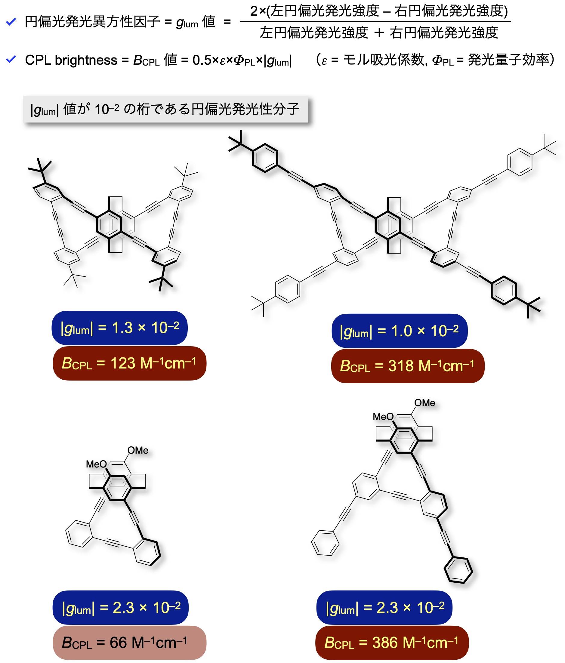 中世における理性と霊性 (上智大学中世思想研究所中世研究叢書