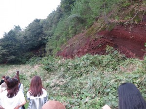 IMG_3887s